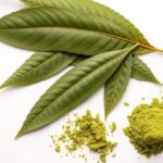 Kratom leaves and powder showing the natural form of kratom vs pharmaceutical pain medications